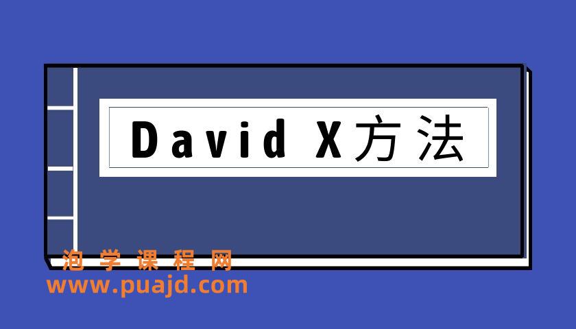 David X方法（泡学电子书）